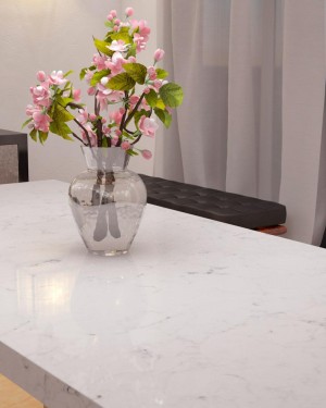 Стільниці з кварцевого каменю Vicostone BQ8550